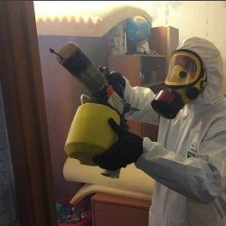 Уничтожение клопов в квартире. Горбатов